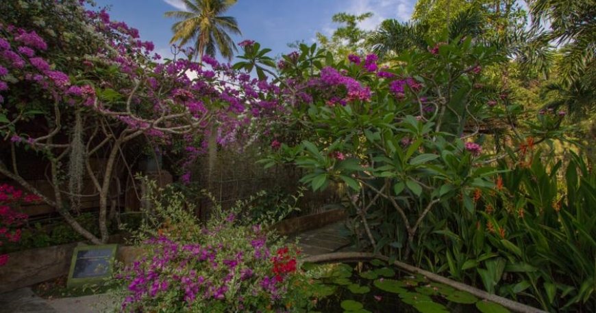 هتل تاورن بیچ پوکت هتل تاورن بیچ پوکت