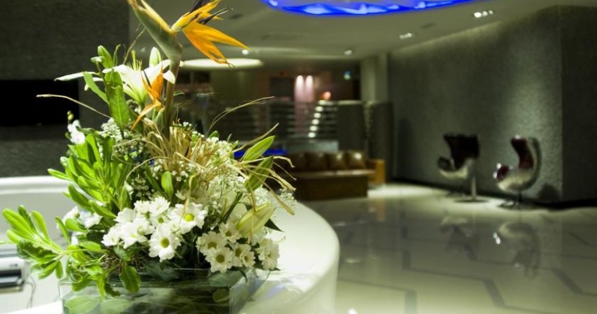 لابی هتل کاسا دی ماریس لابی هتل کاسا دی ماریس