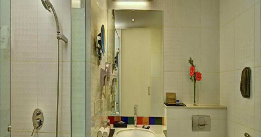 سرویس بهداشتی هتل پارک این بای رادیسون