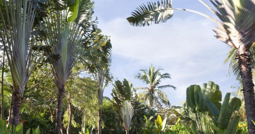 هتل پارک حیات