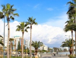 هتل سان هال