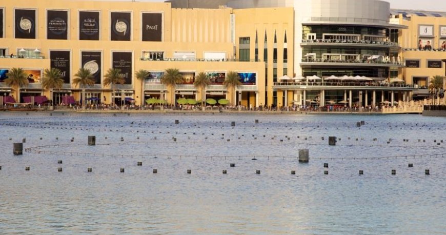 هتل د آدرس دبی مال