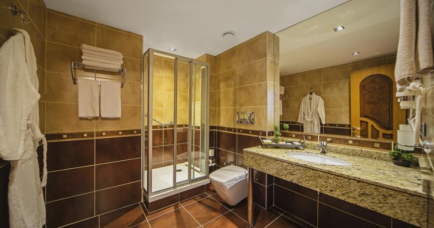 سرویس بهداشتی 