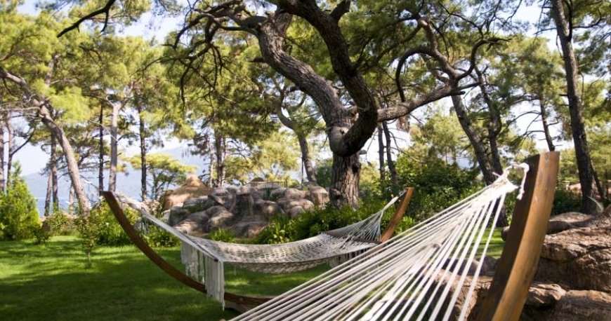 هتل گرند یازیکی کلاب تربان هتل گرند یازیکی کلاب تربان