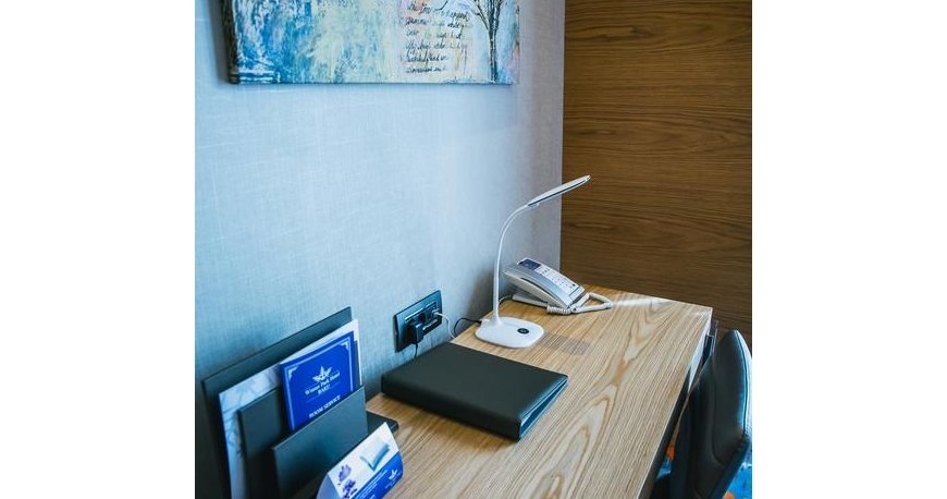 اتاق هتل وینتر پارک باکو