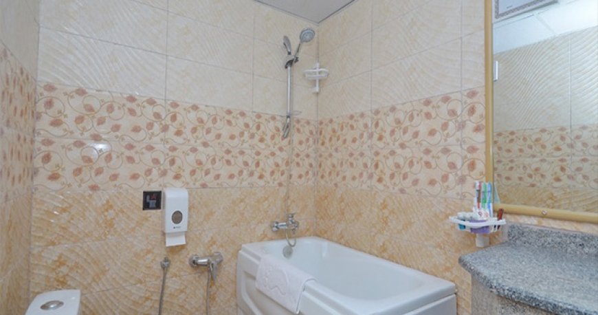 سرویس بهداشتی هتل پارک سعدی شیراز