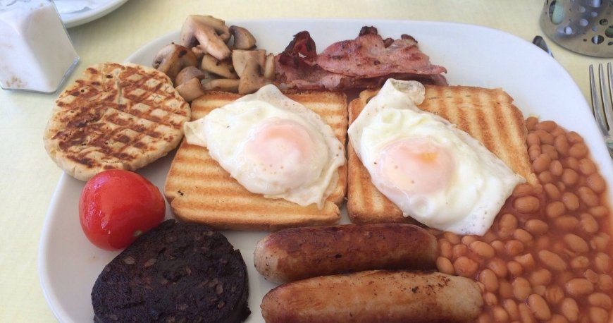 هاسیس هاسیس