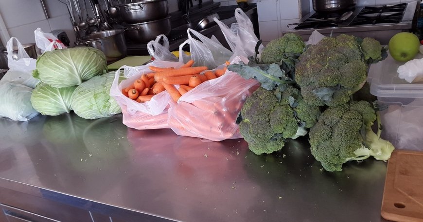 هاسیس هاسیس