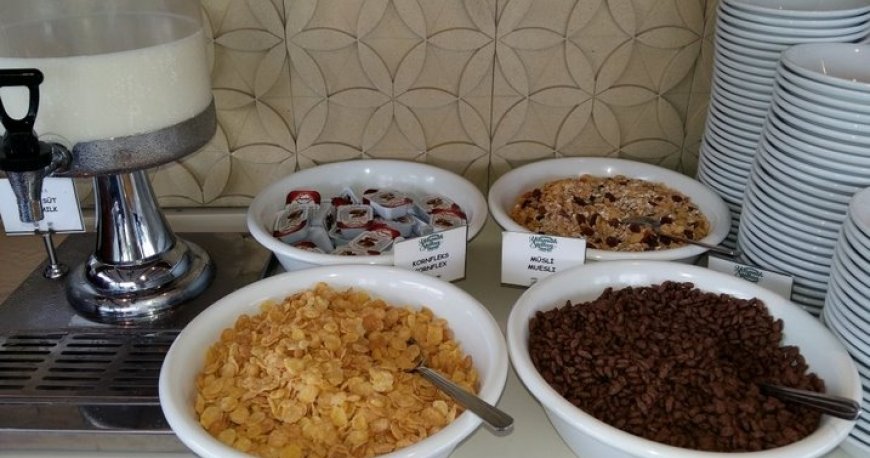 رستوران الیو آناتولیان استانبول