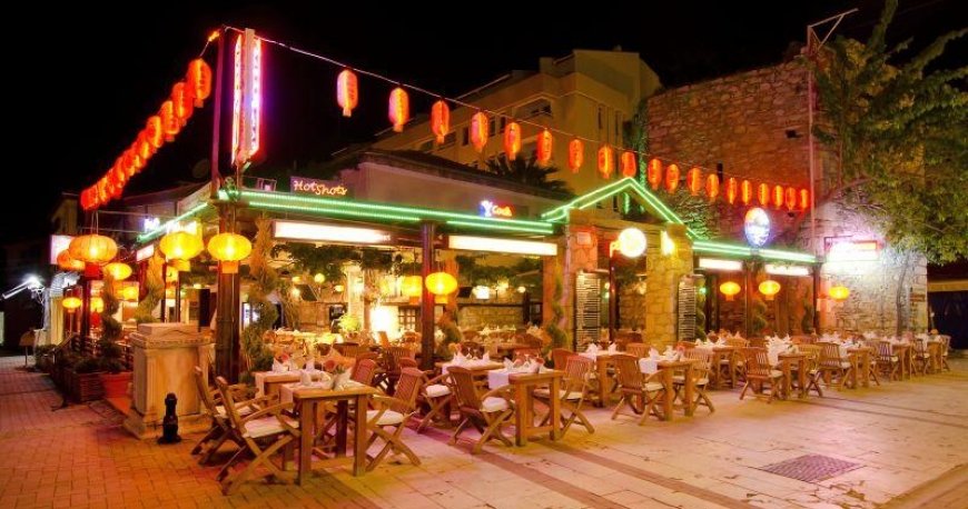 پلنت یوکا پلنت یوکا