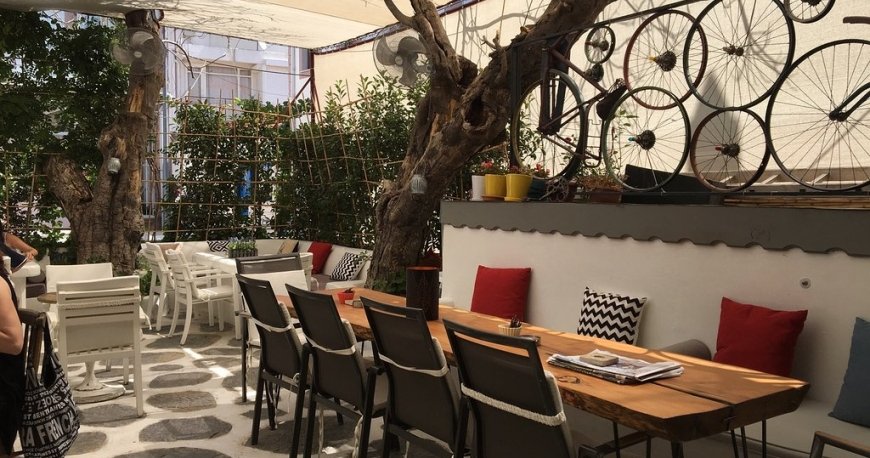 شاد کافی شاد کافی