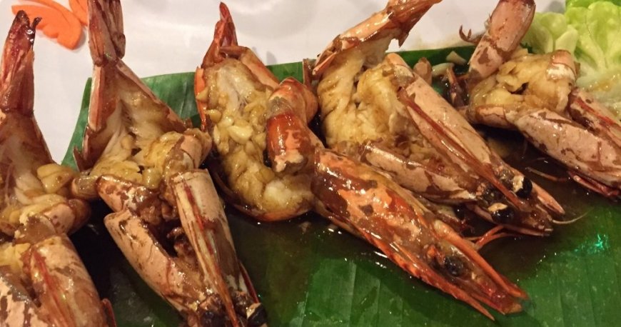 واندرلند فود