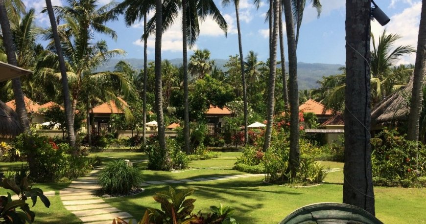 وارونگ کلاپا بالی