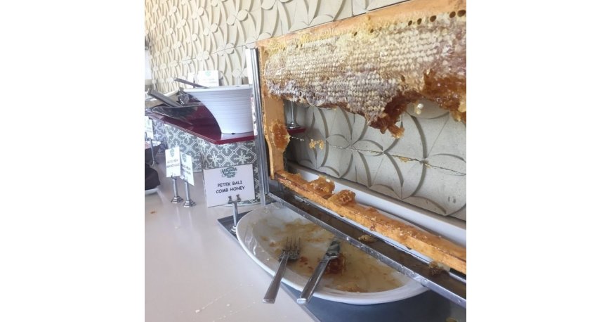 رستوران الیو آناتولیان استانبول