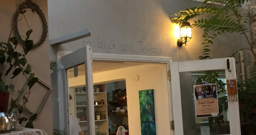 مینتا مینتا