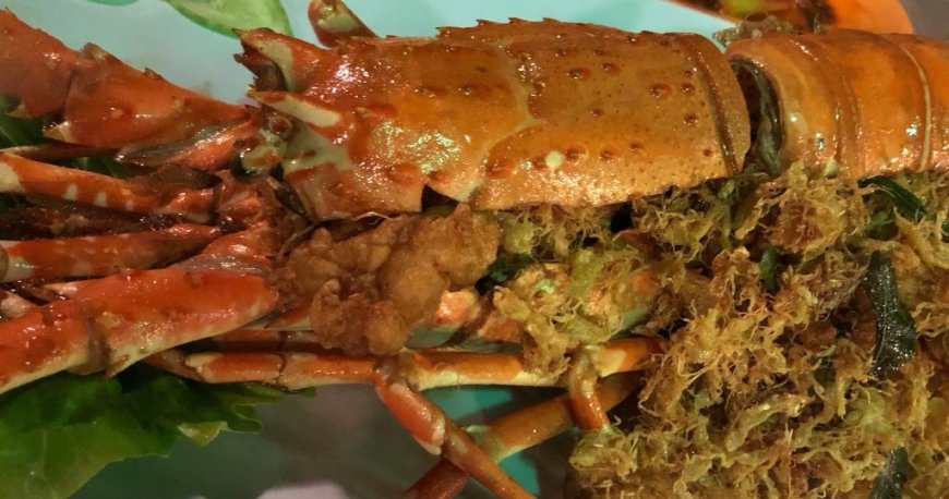 واندرلند فود