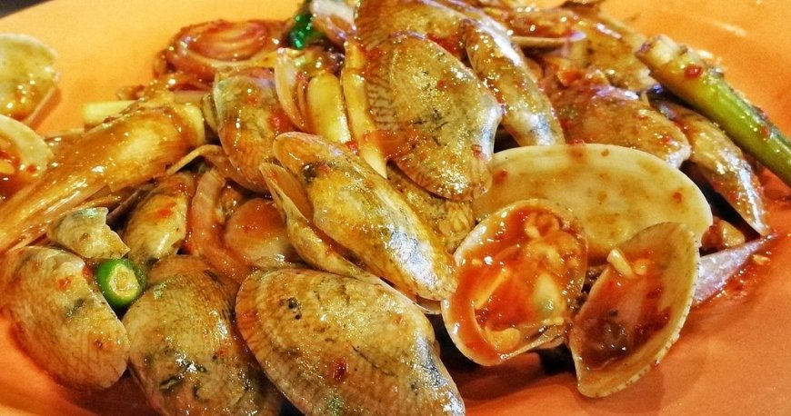 واندرلند فود