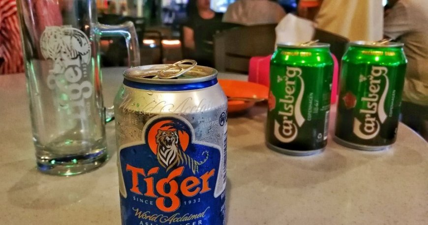 واندرلند فود