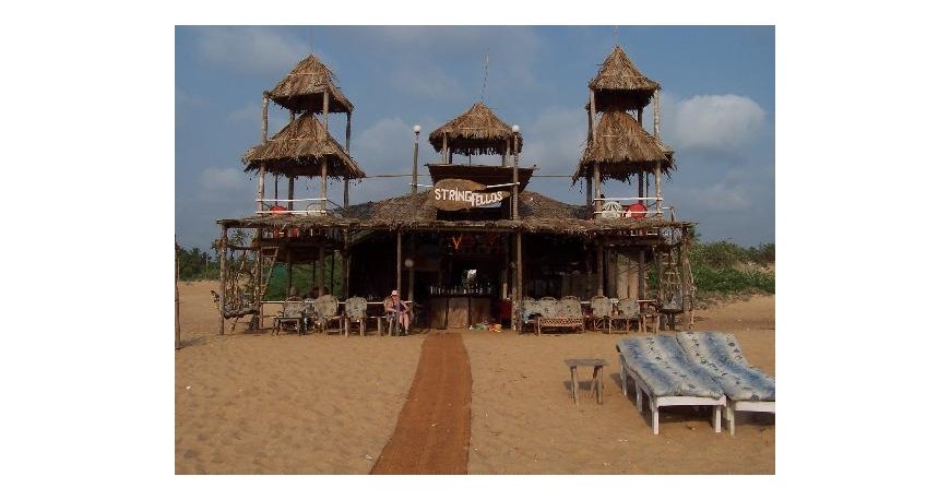 استرینگ فالوس بیچ شاک استرینگ فالوس بیچ شاک