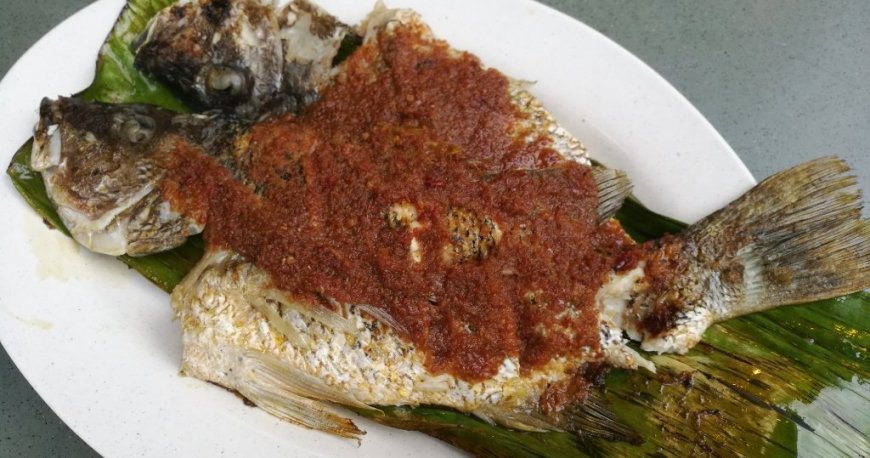 واندرلند فود