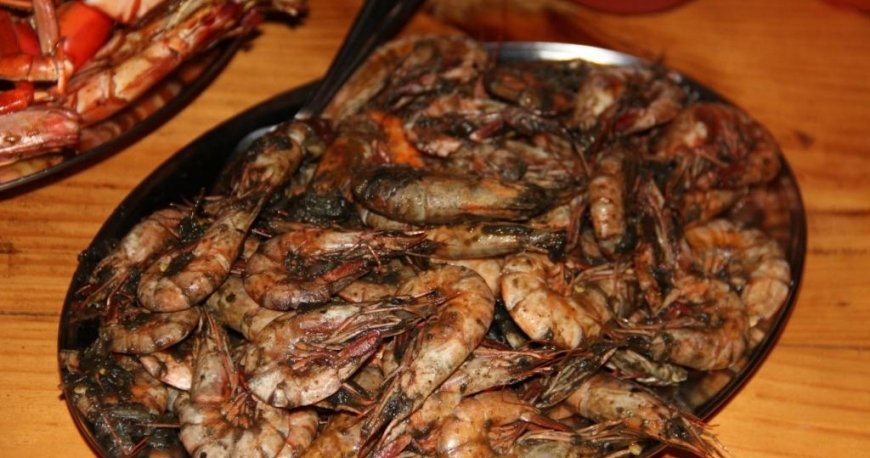 بلوبرد بلوبرد