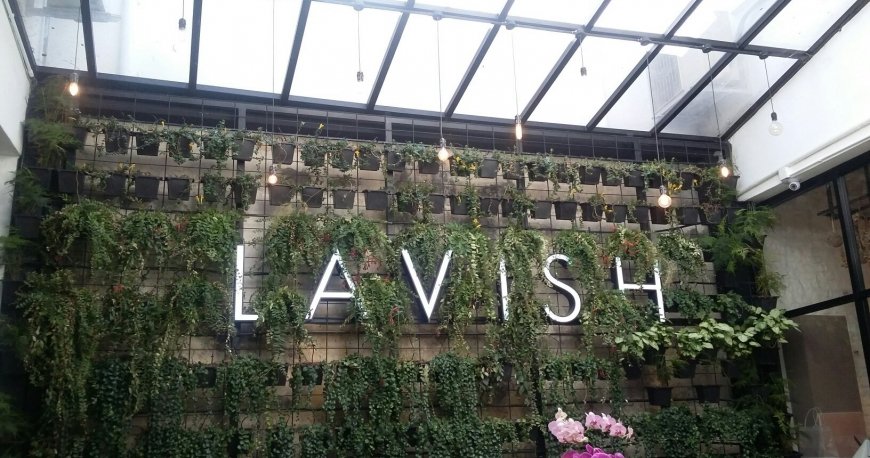 لاویش فیوژن