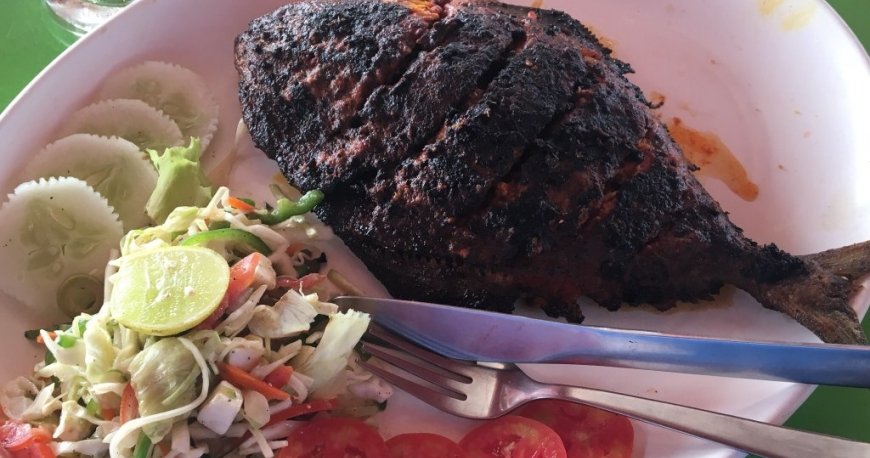 استرینگ فالوس بیچ شاک استرینگ فالوس بیچ شاک