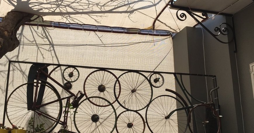 شاد کافی شاد کافی