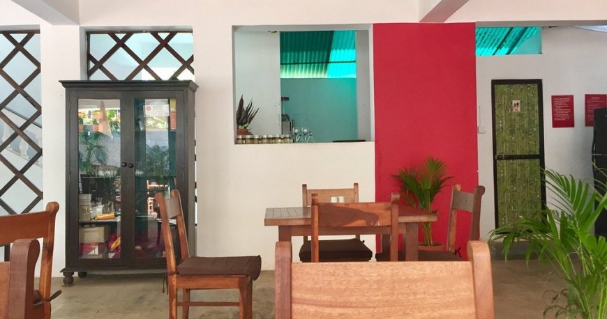 کافه نو کافه نو