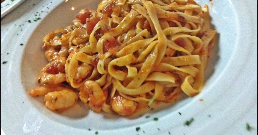 پلنت یوکا پلنت یوکا