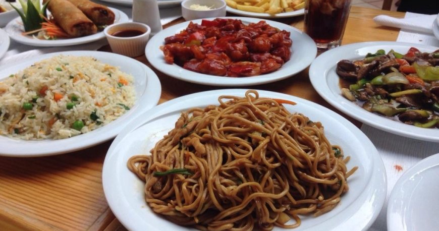 پلنت یوکا پلنت یوکا