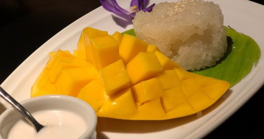 مای تای کوزین مای تای کوزین