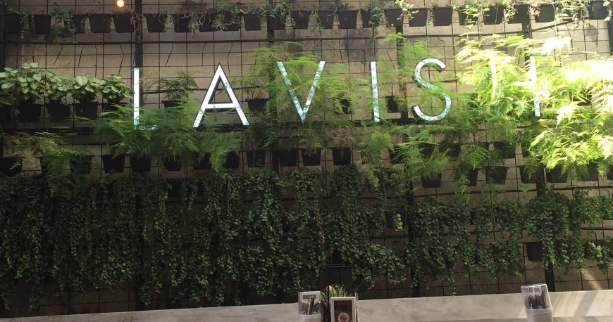 لاویش فیوژن