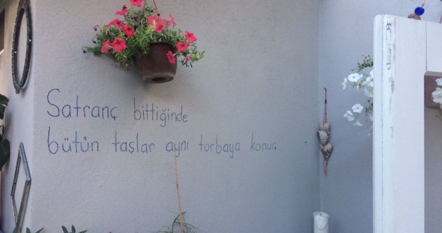 مینتا مینتا