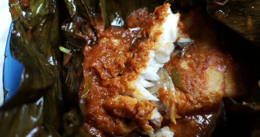 کافه میوز کافه میوز