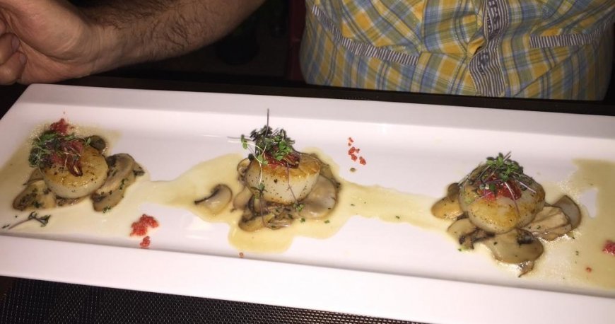 مون لایت فاین مون لایت فاین