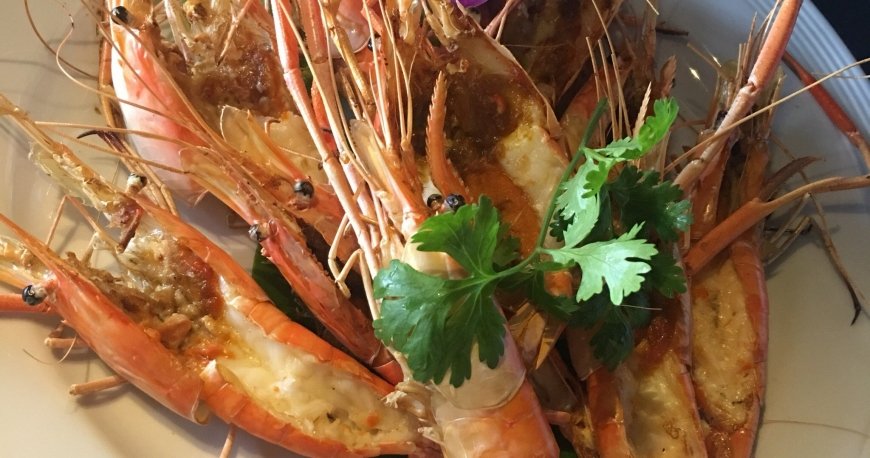 مای تای کوزین مای تای کوزین