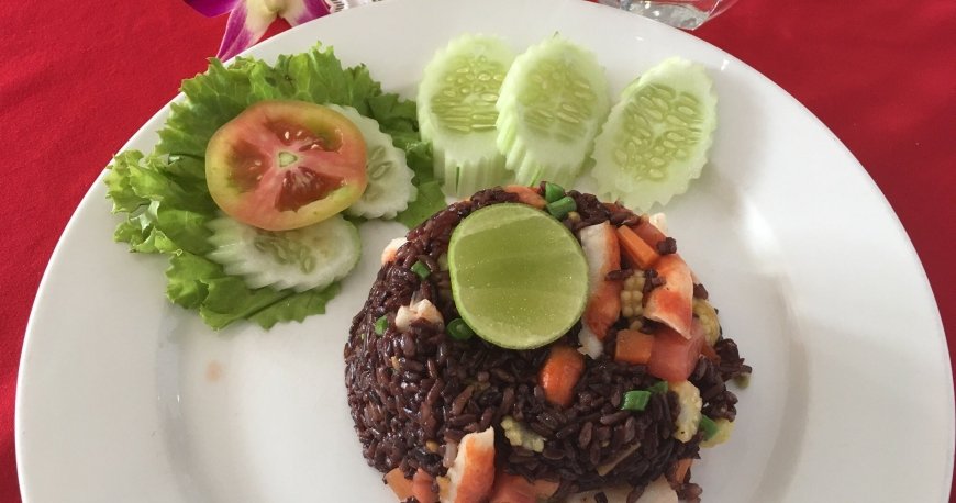 فایو استار جِی وجترین