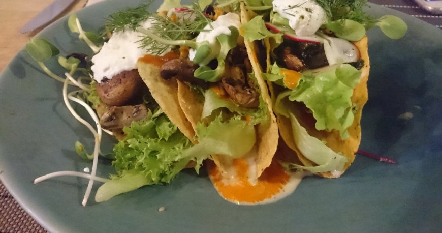 سورف اند تورف