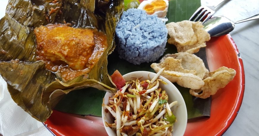 کافه میوز کافه میوز