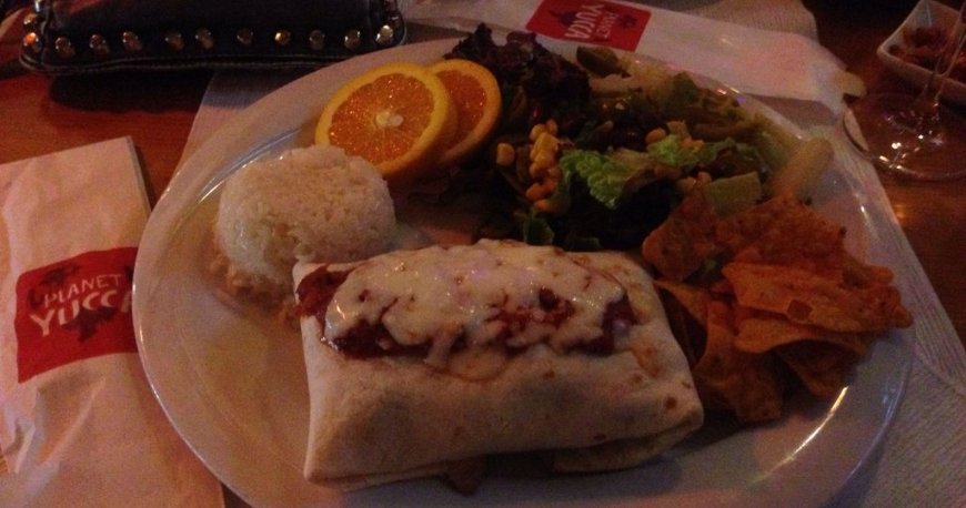 پلنت یوکا پلنت یوکا