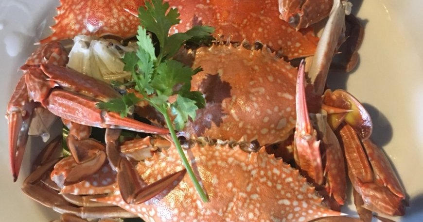 مای تای کوزین مای تای کوزین