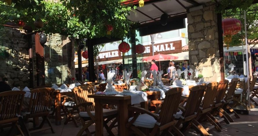 پلنت یوکا پلنت یوکا