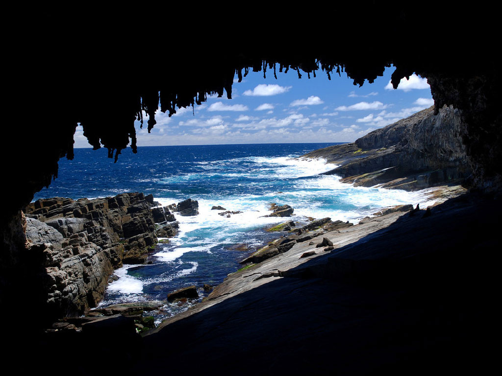 کانگورو آیلند