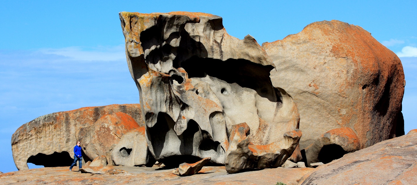 کانگورو آیلند