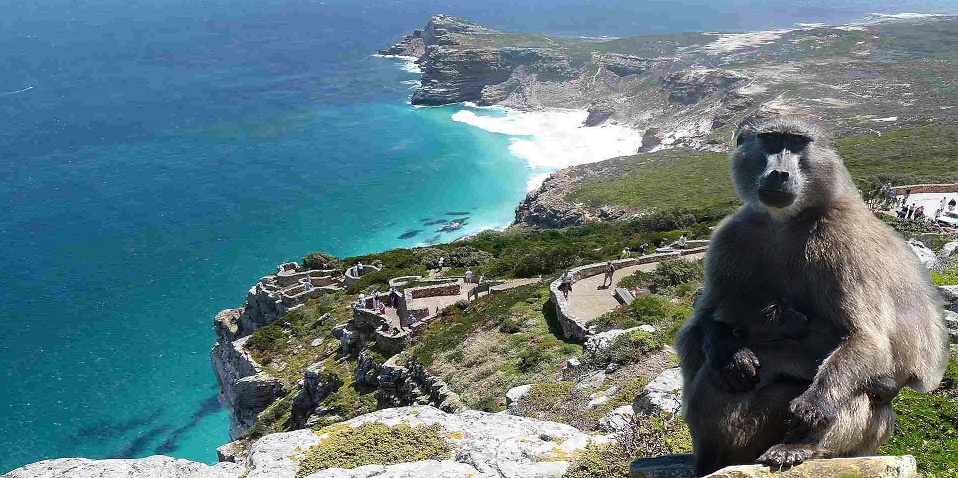 کیپ تاون کیپ تاون