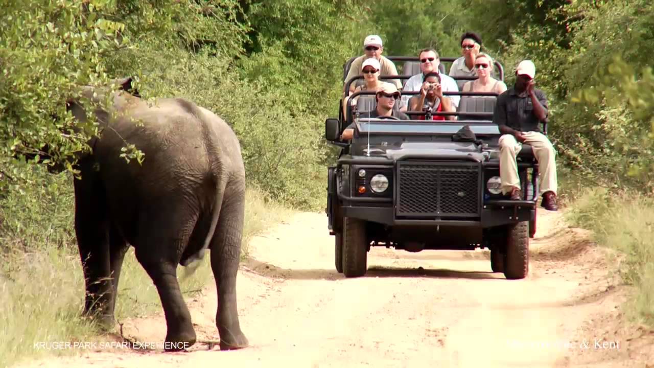 آفریقای جنوبی آفریقای جنوبی