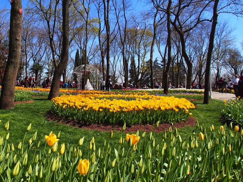 جشنواره گل لاله استانبول