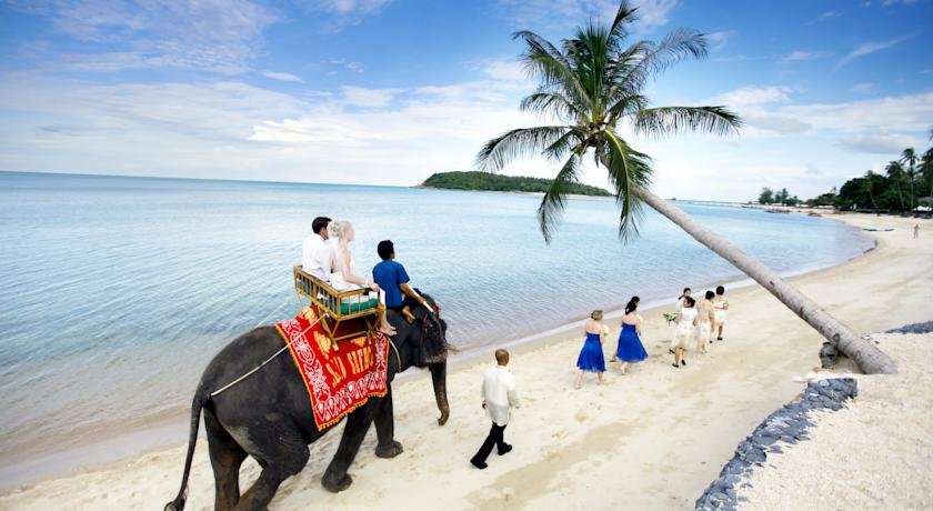 ساحل هتل نورا بوری ساموئی