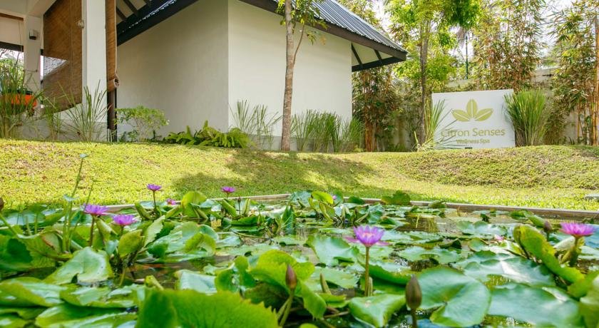 هتل سیتروس واسکادوا